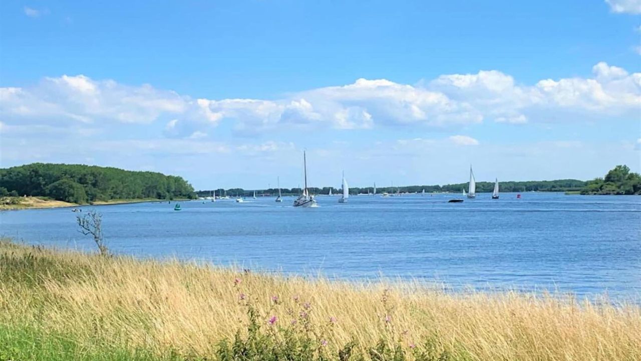 AreaSummer20KM AreaSummer20KM